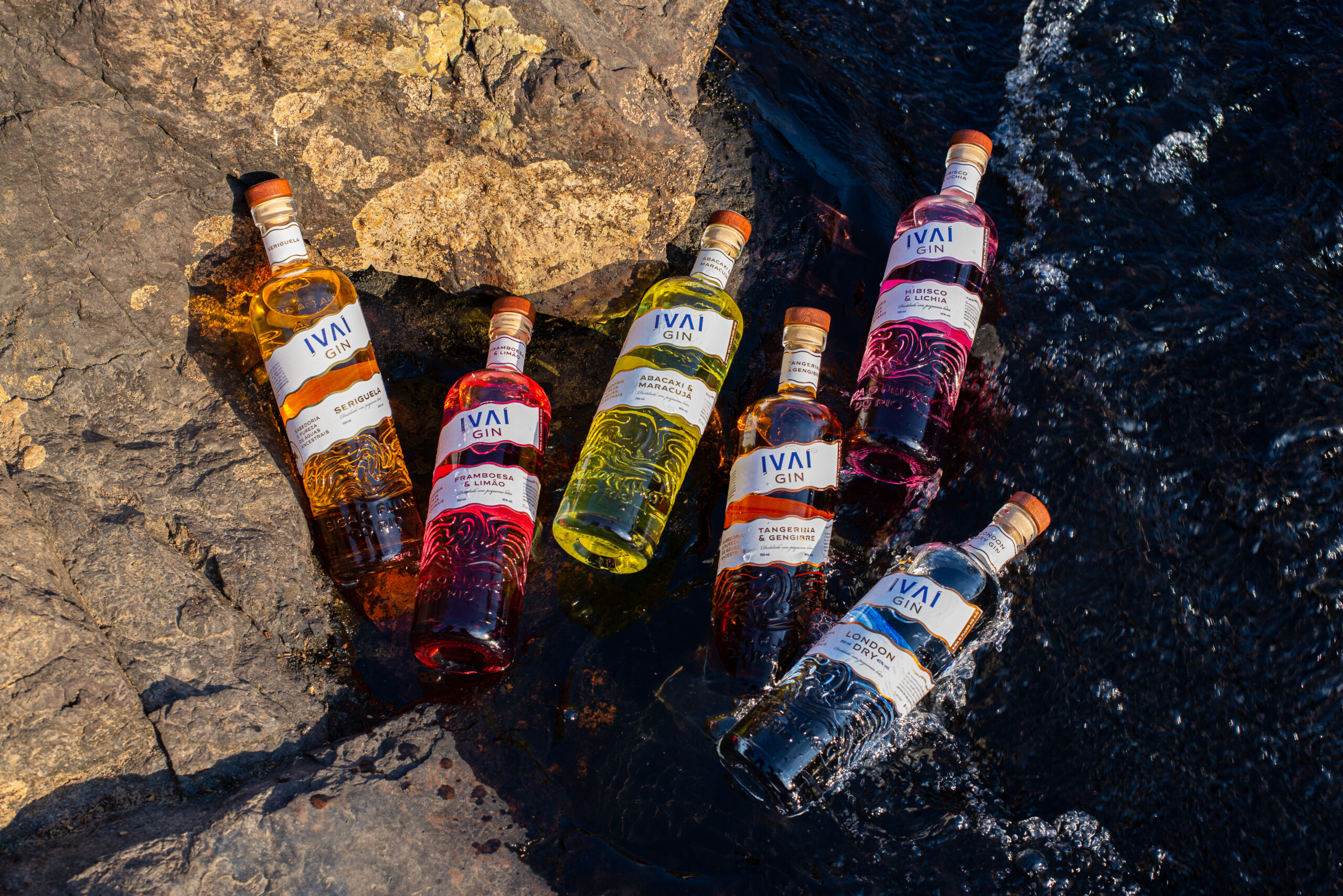 IVAÍ GIN | Linha de Embalagens