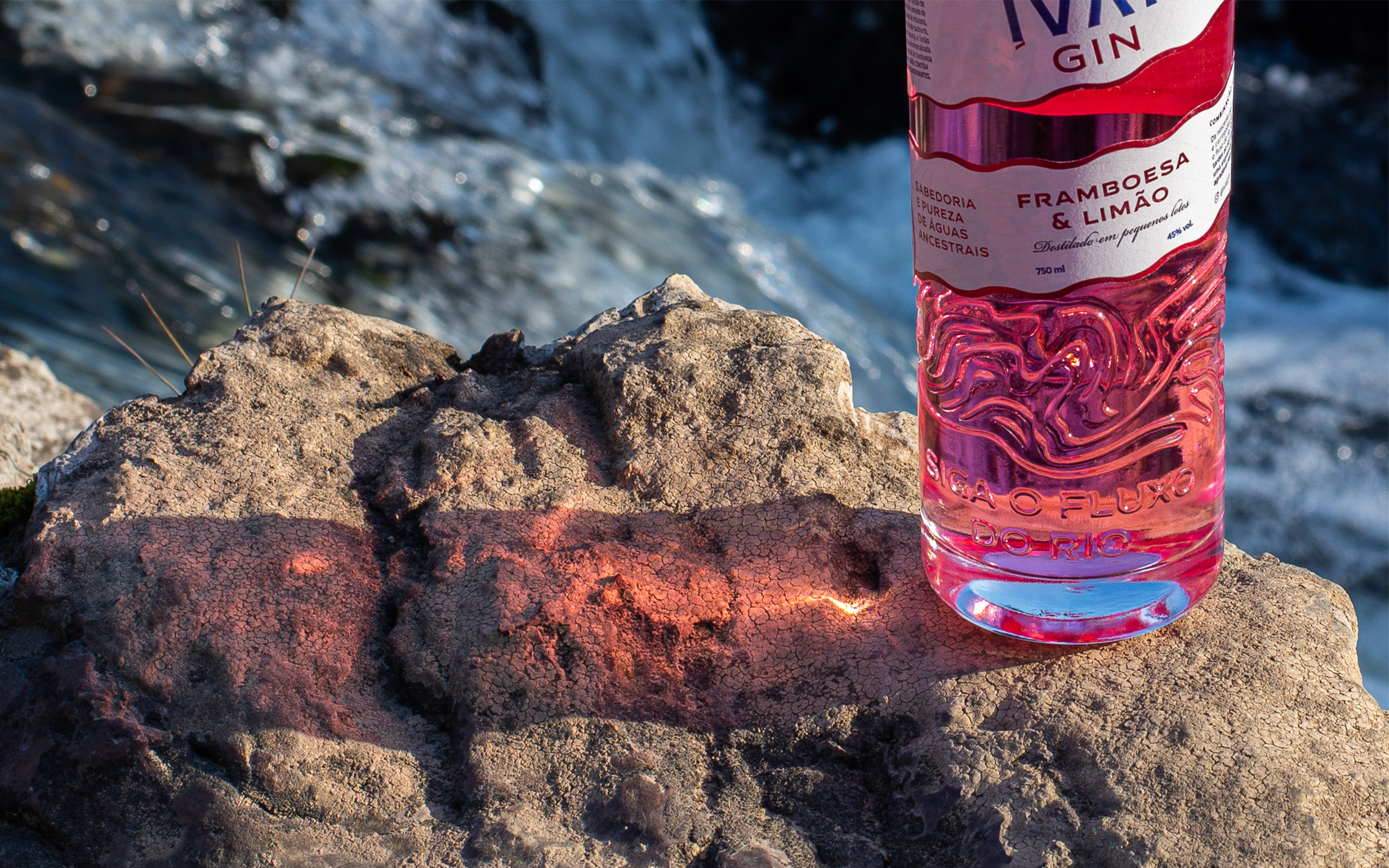 IVAÍ GIN | Linha de Embalagens